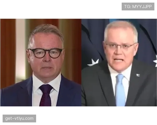 乔尔·恩比德的狗有独立卧室，我还在为房租算分期